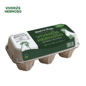 6 huevos organicos